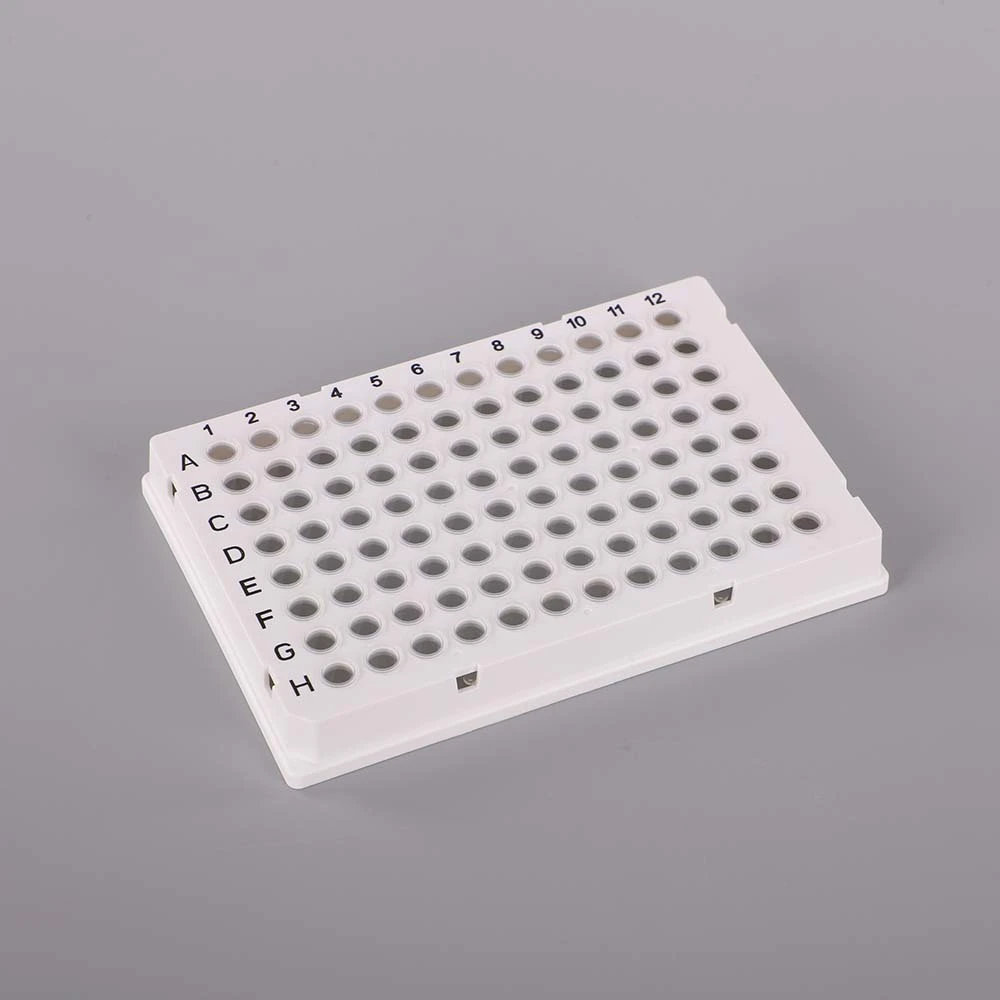 2J3A0138